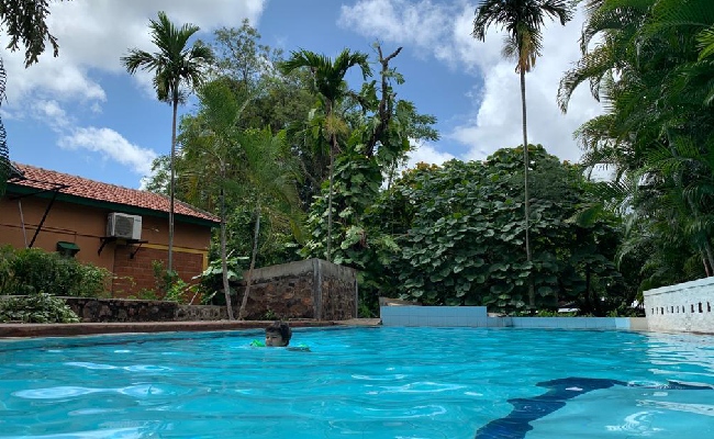 swimming pool at resort near bangalore